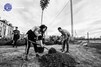 Зображення | БК Інвестор