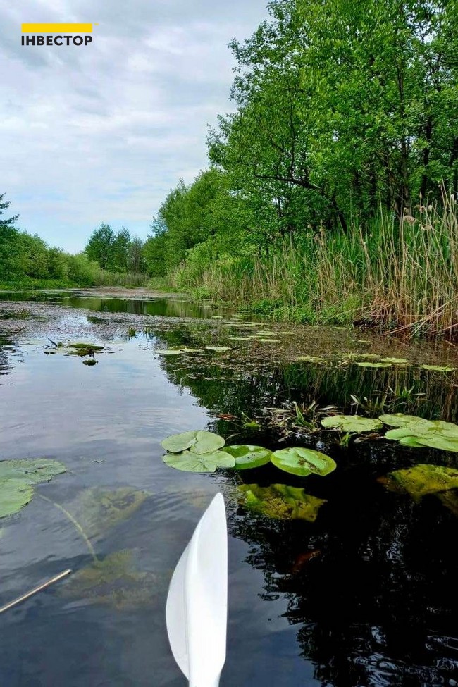 Зображення | БК Інвестор