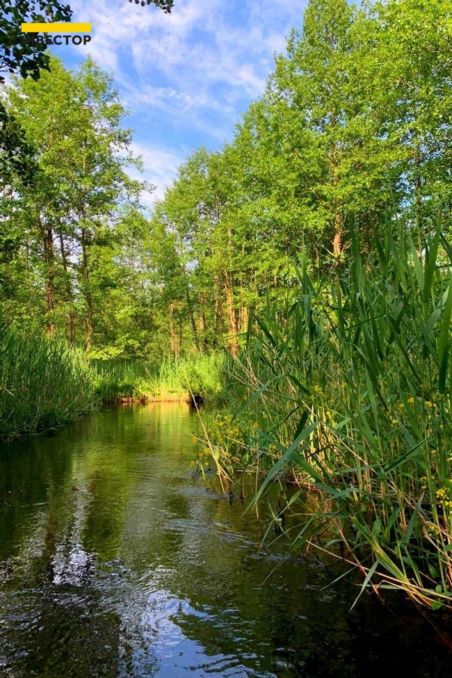 Зображення | БК Інвестор