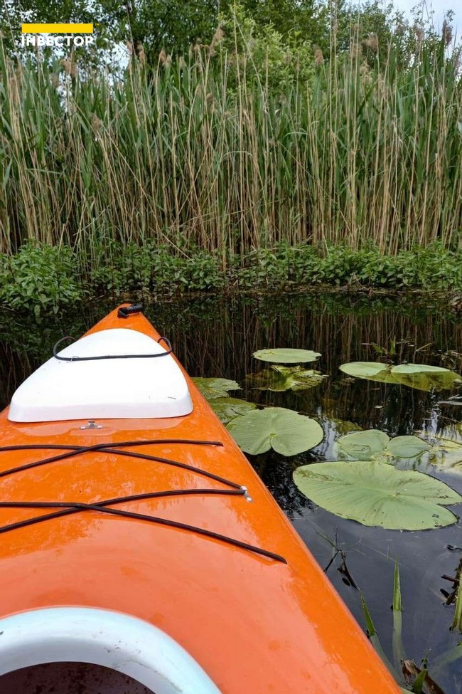 Зображення | БК Інвестор