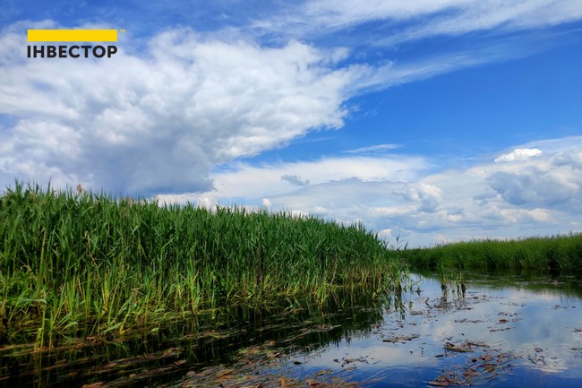 Зображення | БК Інвестор
