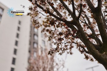 Зображення | БК Інвестор