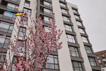 Зображення | БК Інвестор