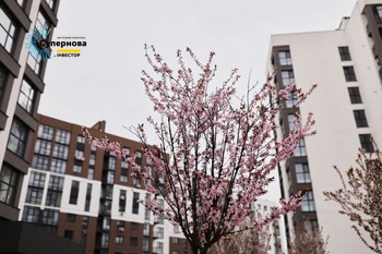 Зображення | БК Інвестор