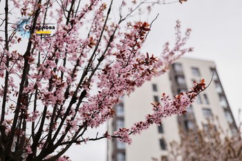 Зображення | БК Інвестор