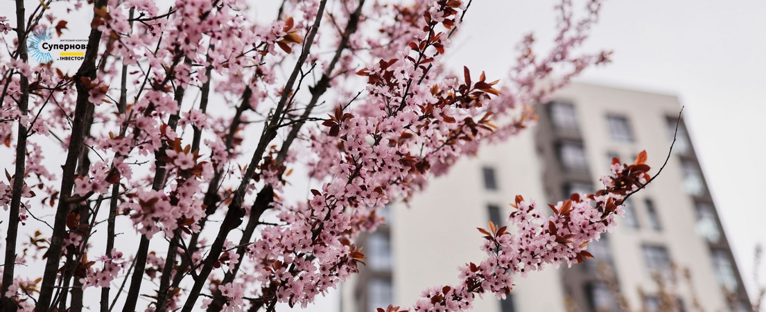 Зображення | БК Інвестор