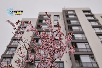 Зображення | БК Інвестор