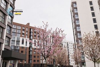 Зображення | БК Інвестор